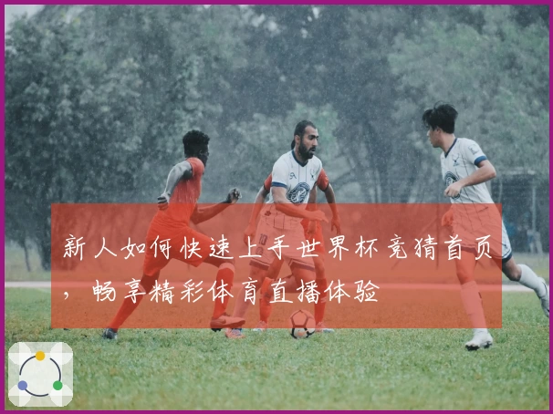 新人如何快速上手世界杯竞猜首页，畅享精彩体育直播体验