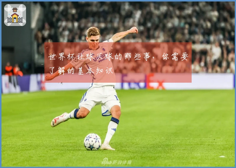 世界杯让球买球的那些事，你需要了解的基本知识