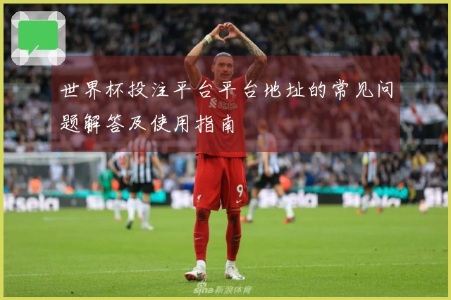 世界杯投注平台平台地址的常见问题解答及使用指南