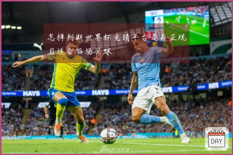 怎样判断世界杯竞猜平台是否正规且适合临场买球