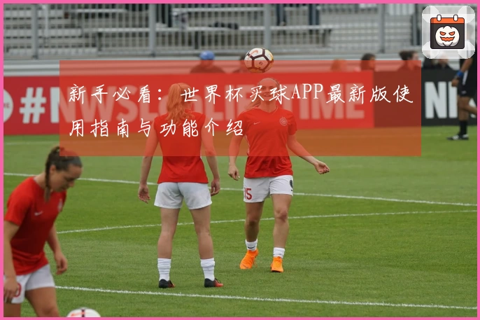 新手必看：世界杯买球APP最新版使用指南与功能介绍