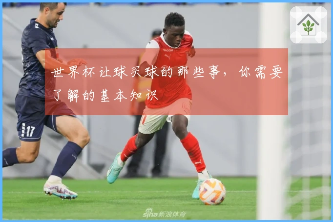 世界杯让球买球的那些事，你需要了解的基本知识