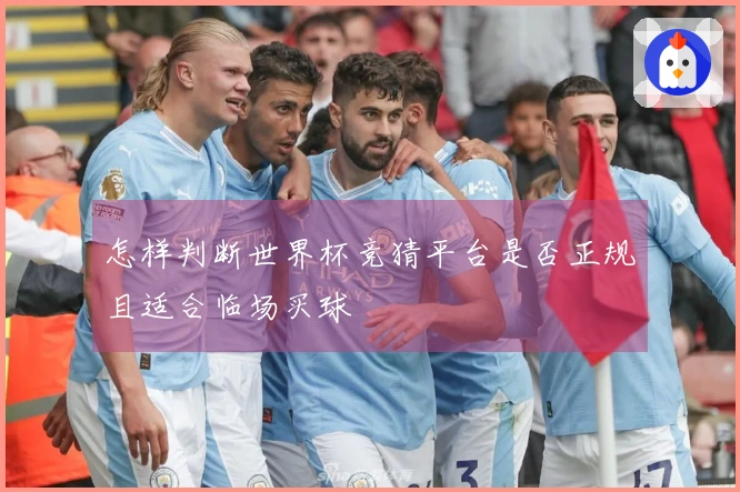怎样判断世界杯竞猜平台是否正规且适合临场买球