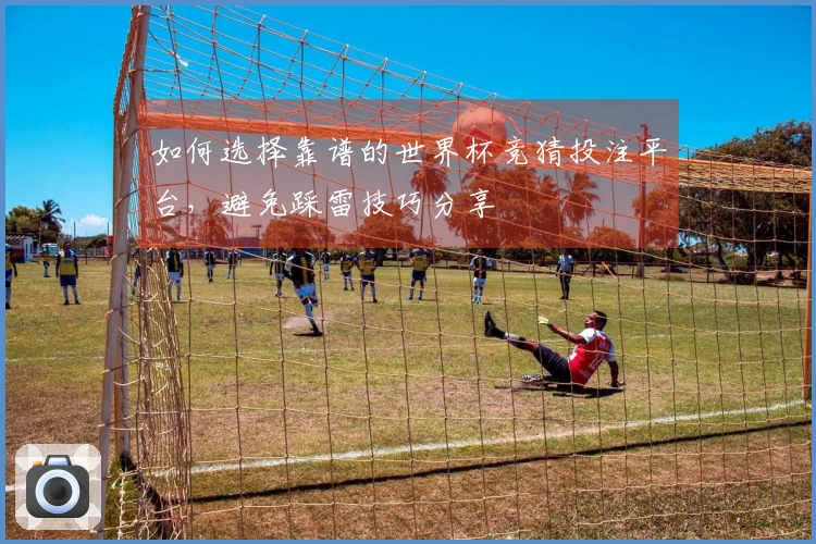 如何选择靠谱的世界杯竞猜投注平台,避免踩雷技巧分享