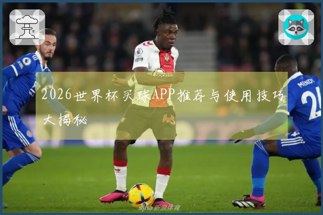 2026世界杯买球APP推荐与使用技巧大揭秘
