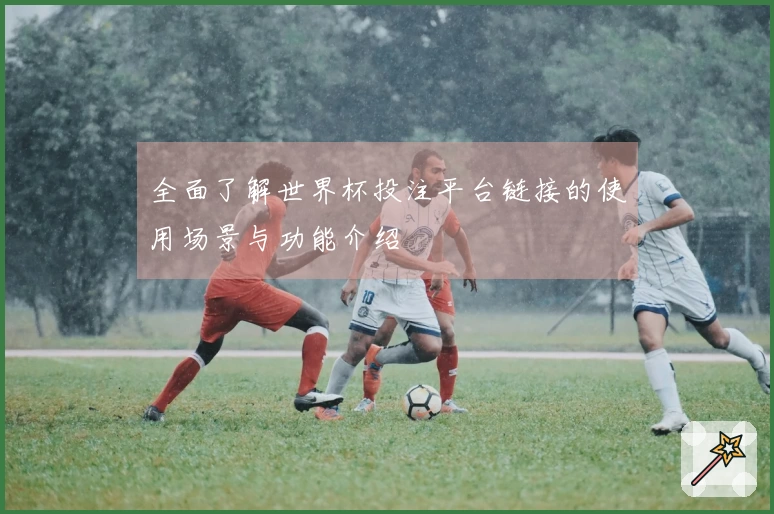 全面了解世界杯投注平台链接的使用场景与功能介绍