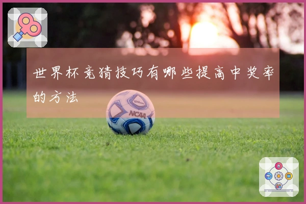 世界杯竞猜技巧有哪些提高中奖率的方法