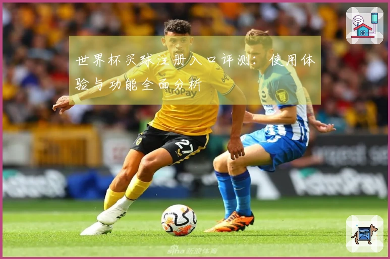 世界杯买球注册入口评测：使用体验与功能全面分析