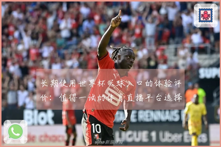 长期使用世界杯买球入口的体验评价:值得一试的体育直播平台选择